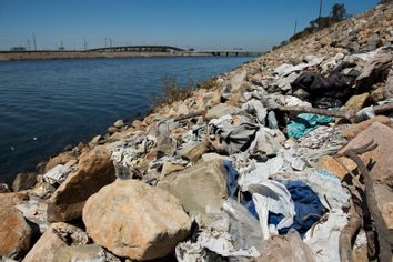 Plastic Bag Ban